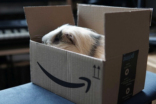 Amazon dropshipping eğitimi Amazon dropshipping eğitimi