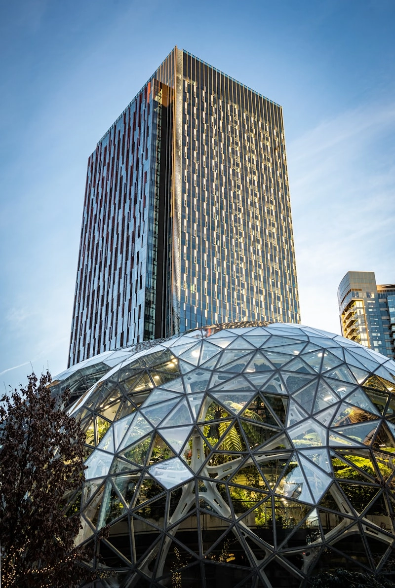 Amazon Satıcılarının Karşılaştığı Zorluklar Amazon Satıcılarının Karşılaştığı Zorluklar